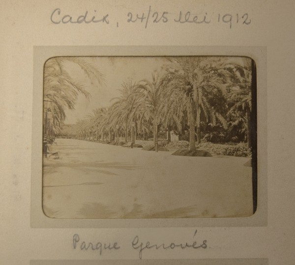 Cadix, 24/25 Mei 1912 / Parque Genovès. From the album Tangiers. A view of Parque Genovès in Cádiz, Spain.