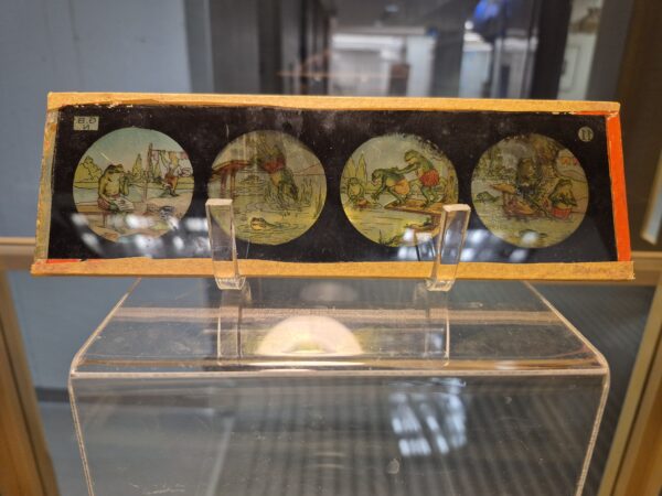 Rectangular glass slide with 4 images of frogs in swimsuits jumping and playing in the water