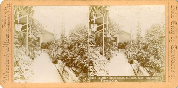 Interior view of Government House greenhouse showing walkway and plants on either side