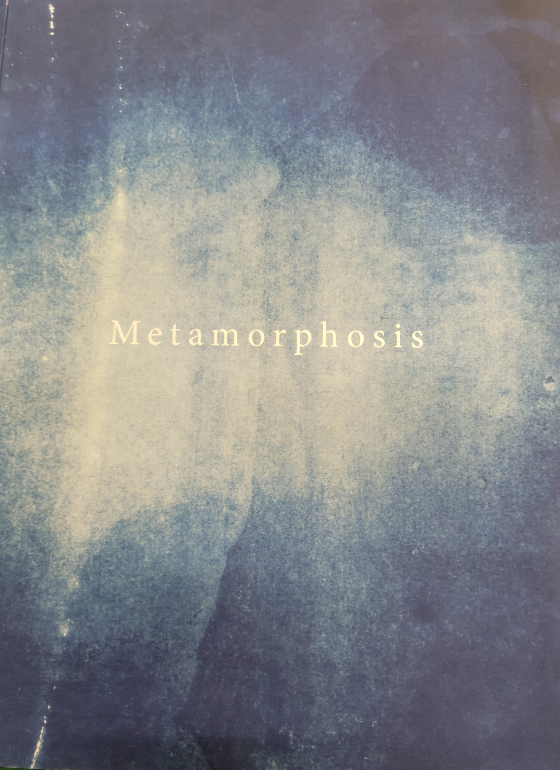 Photograph of front cover of book Metamorphosis by Julie Ng
