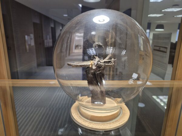 Clear glass sphere with large piece of wood with smaller piece of wood glued to it inside