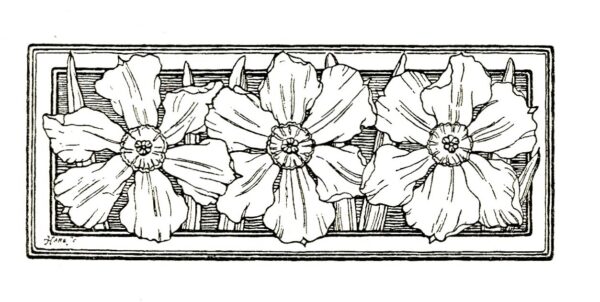black and white print of three flowers