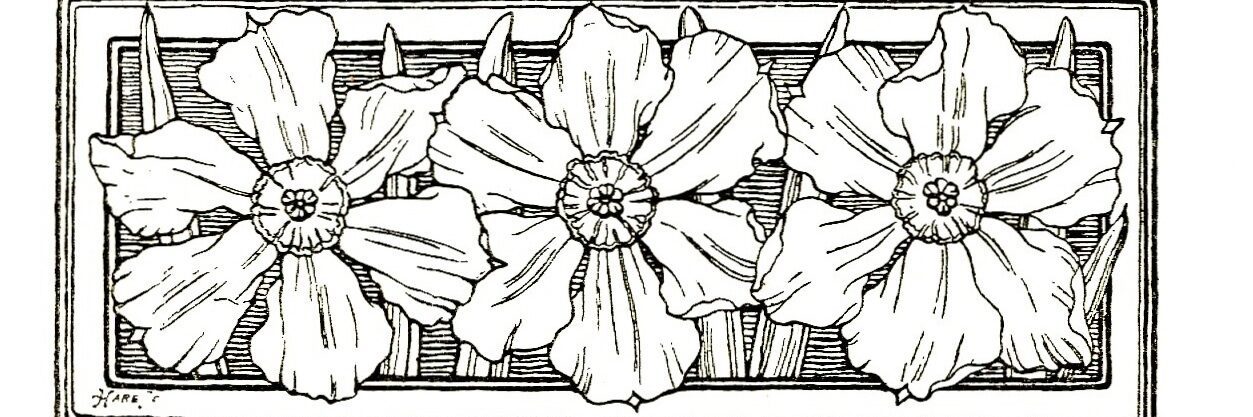 Illustration of three flowers