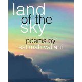 Land of the Sky book cover