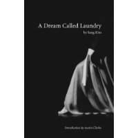 A Dream Called Laundry book cover